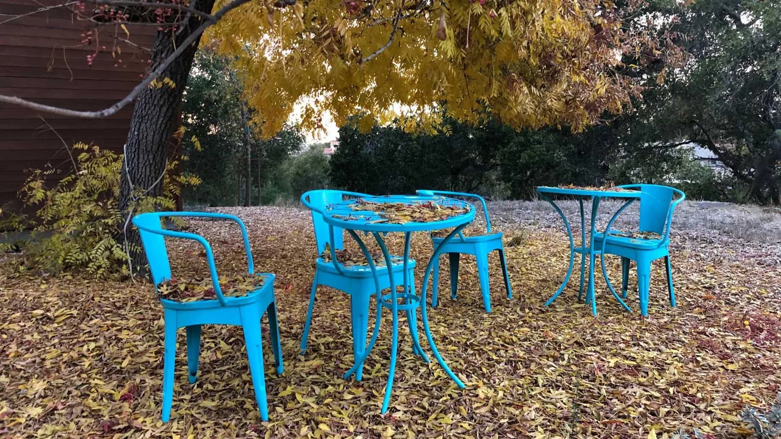 Ambiance of blue chairs on a property in the fall
