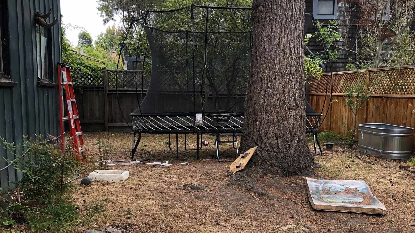 backyard before ADU