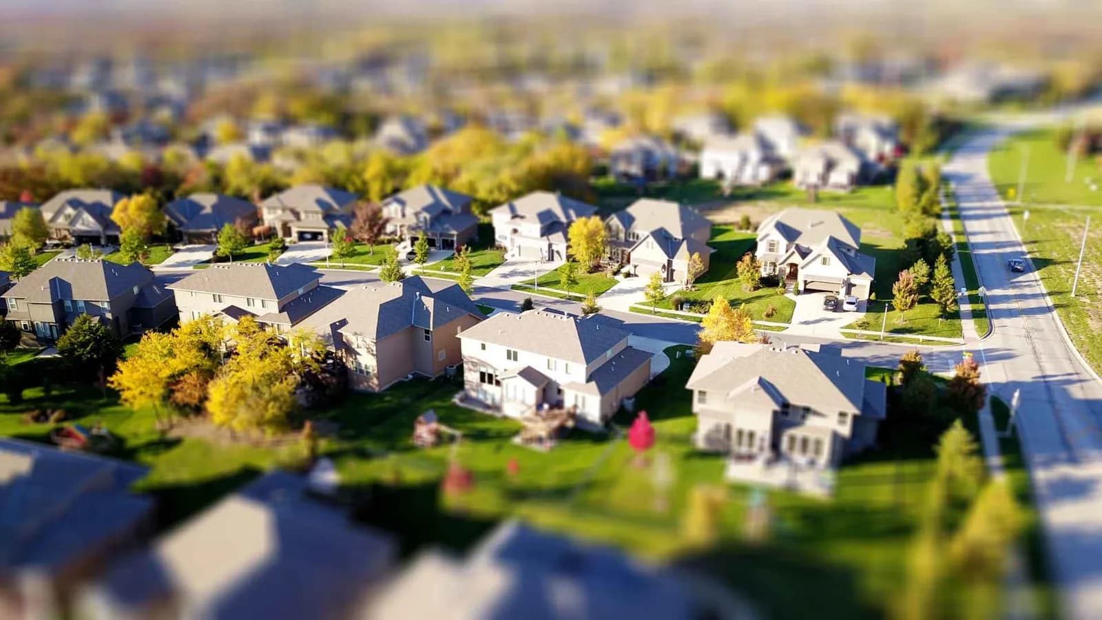 Backyard housing opportunity in a suburban neighborhood