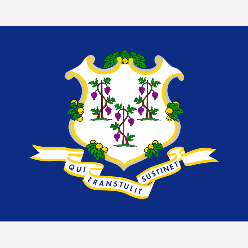 Connecticut state flag