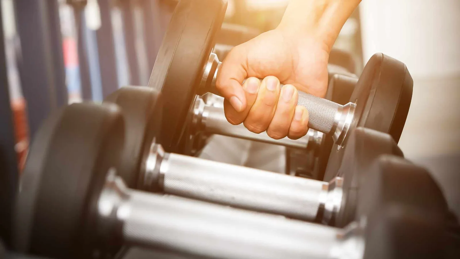 Dumbbells storage in a gym shed