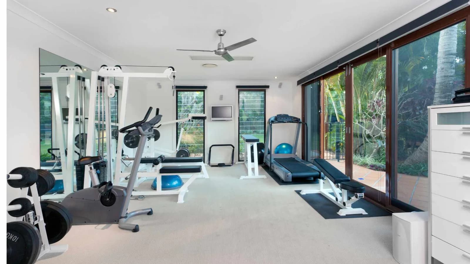 Backyard gym shed set up with workout equipment