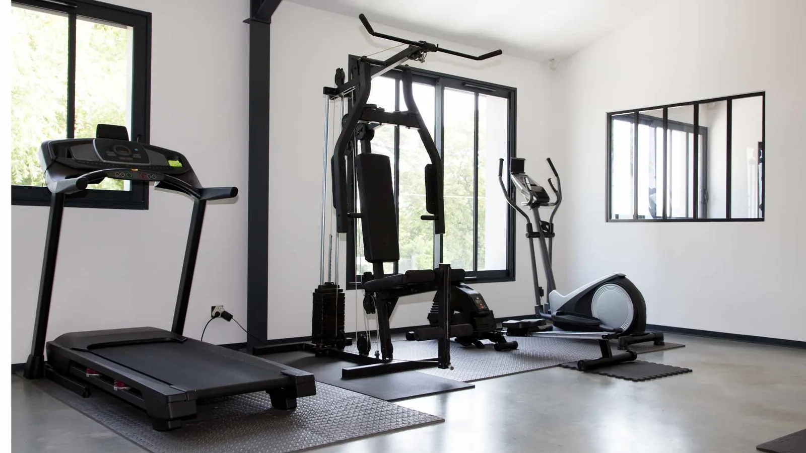 Gym shed with fitness equipment