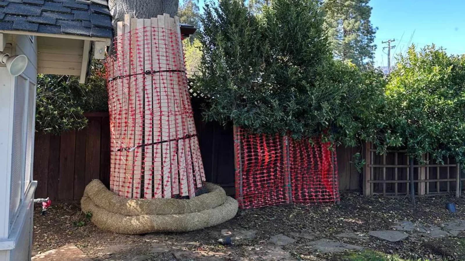 Heritage tree protection on an ADU construction site
