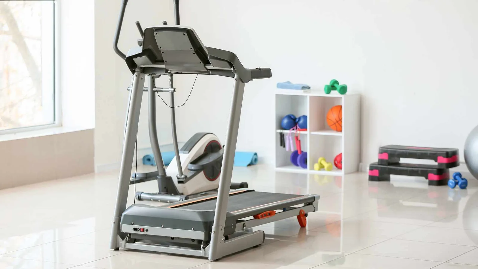 Home gym set up inside a backyard shed