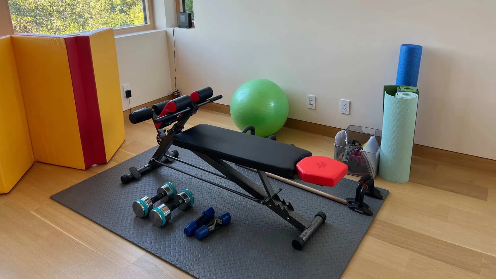 Home gym shed interior with exercise equipment