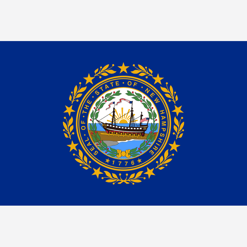 New Hampshire state flag