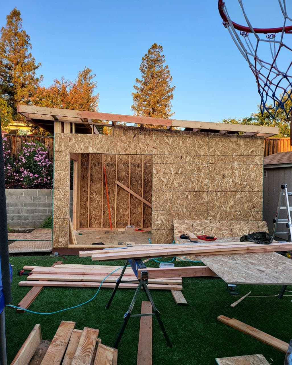 Backyard studio Framing in progress