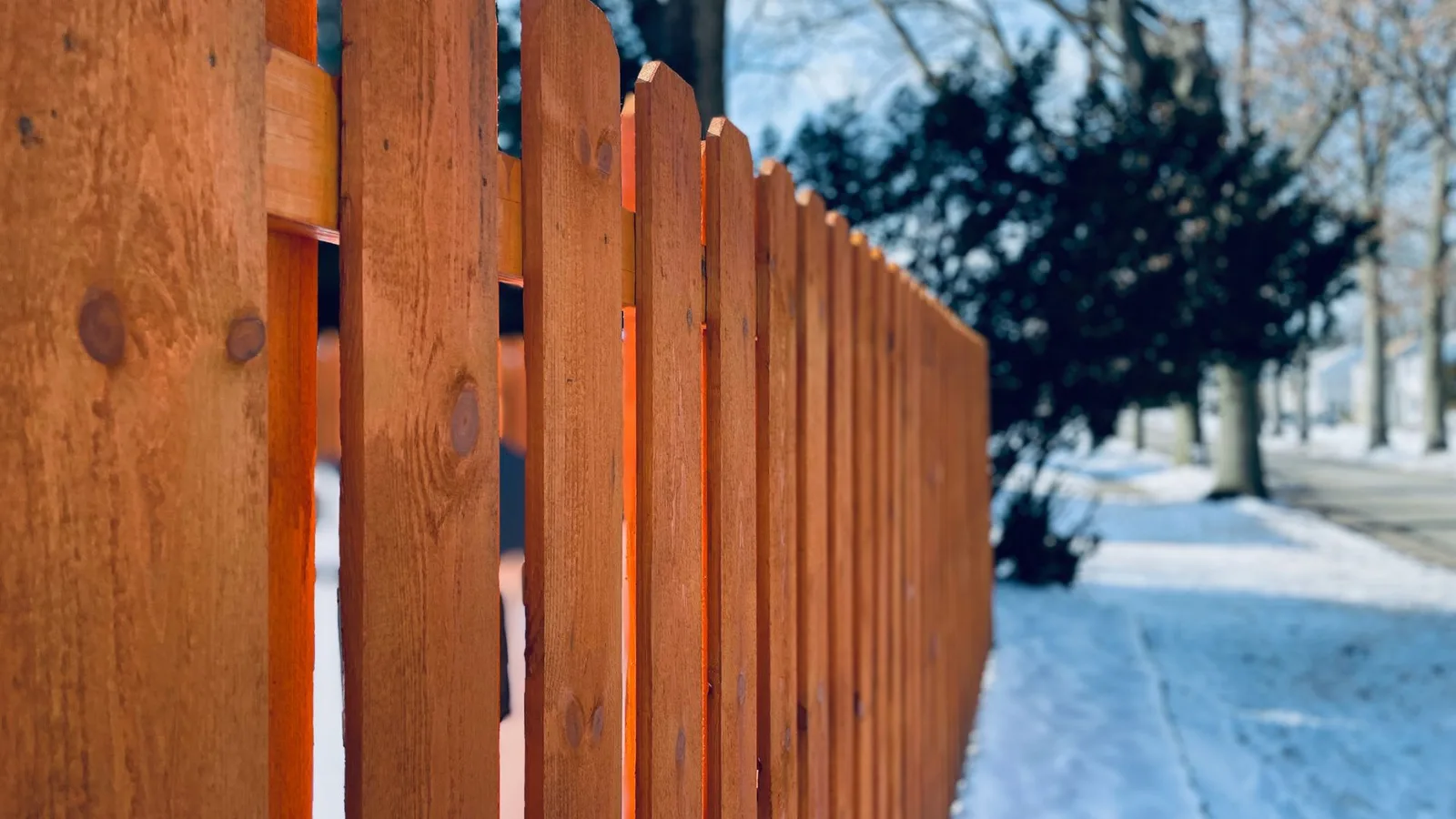 Privacy fence ideas