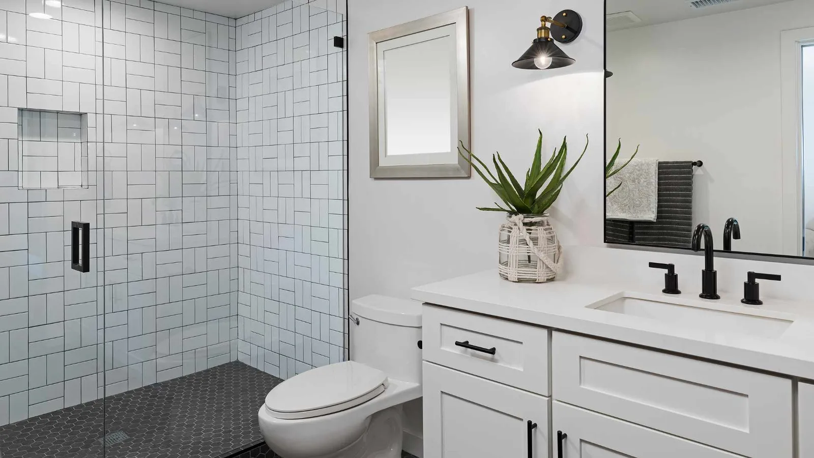 shower glass and no-curb entry