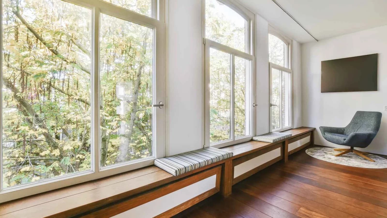 windows as an element of design