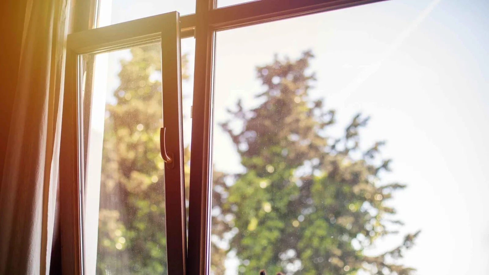windows open for ventilation