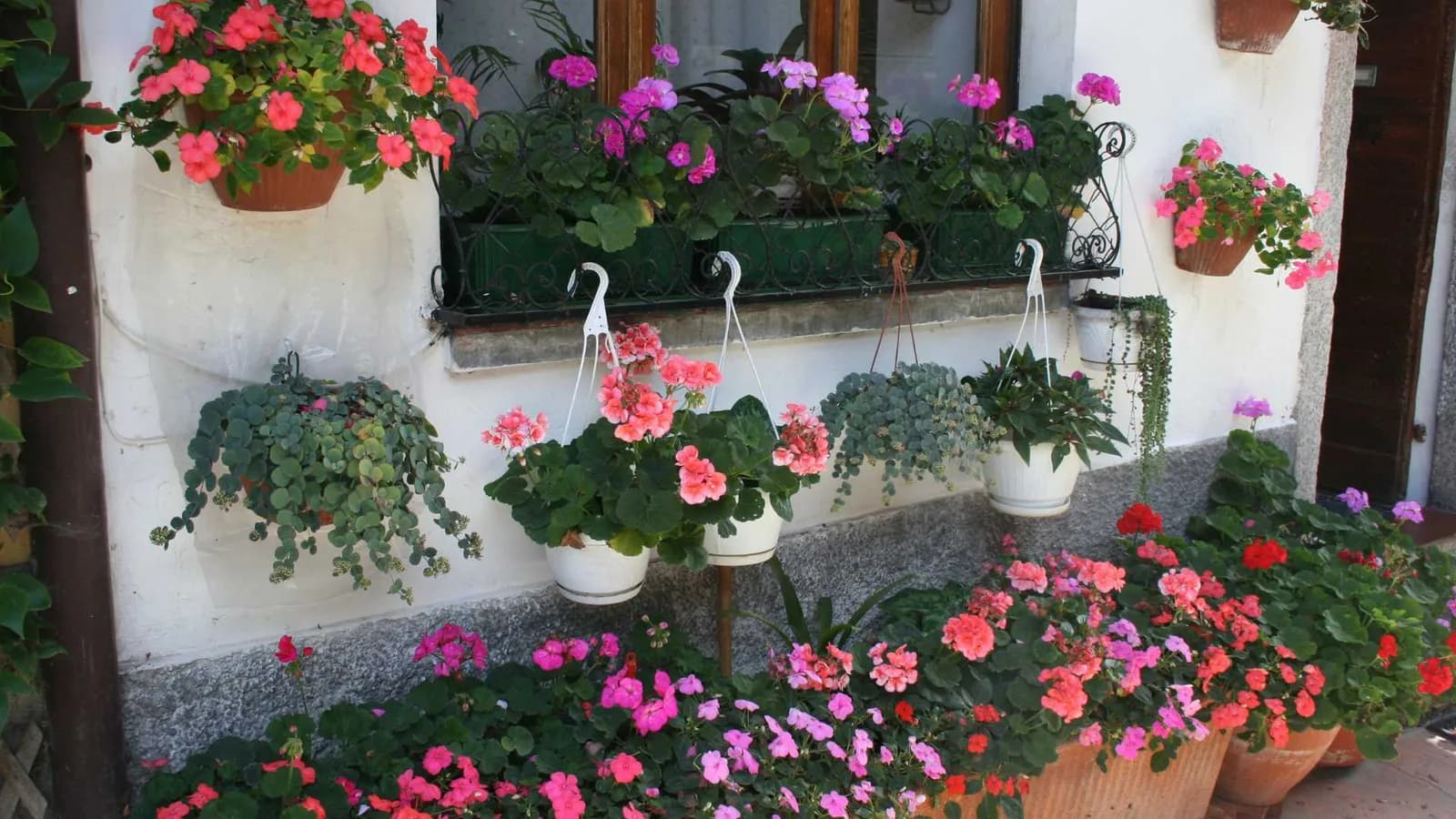 Flower pots by the house