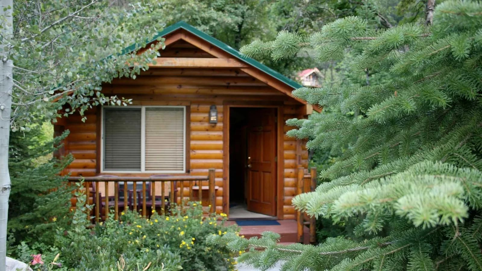 Covered porch of a backyard cabin