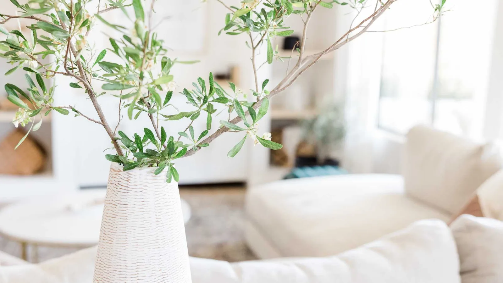 Vase with flowering tree blossoms beside a sofa in a bright living space